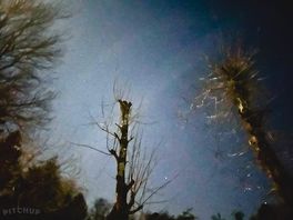 Beautiful starlit nights