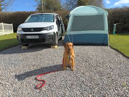 This was the touring pitch, and was able to use the grass around the gravel