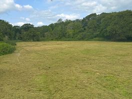 Pitches