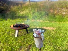Fire pit marshmallows