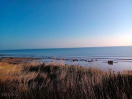 Skipsea beach