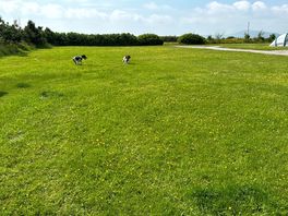 Site