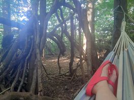 Lying in a hammock