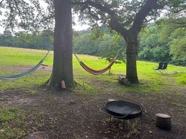 Hammocks and fire pit