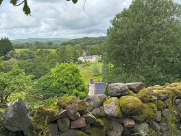 View from near the tea room