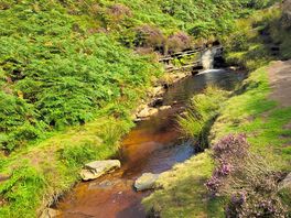 Seven falls hike