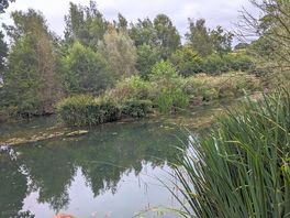 You can fish here