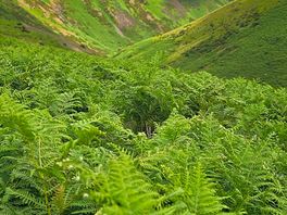 Shropshire hills
