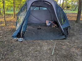 Day woodland camping