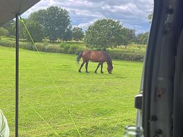 View from the van