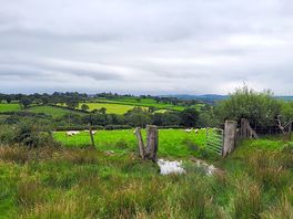 Nearby fields