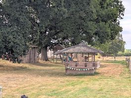 Part of the site