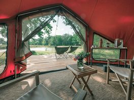 Room with a view