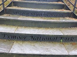 Steps up to top of site