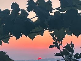 Ausblick und sonnenuntergang