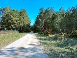 One of the walks