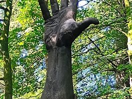Giant hand carved out of britain's tallest tree
