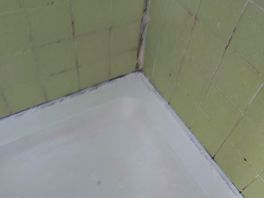 Balck mould inside shower