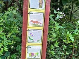 Wildlife board in meadow