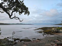 Kirkcudbright bay