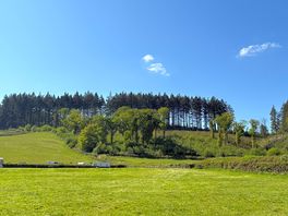 View from feilds
