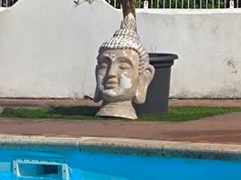 Swimming pool area