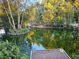 The lake