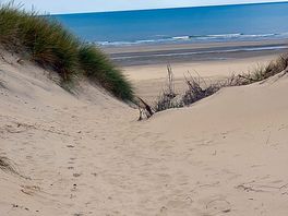 Weg zum strand