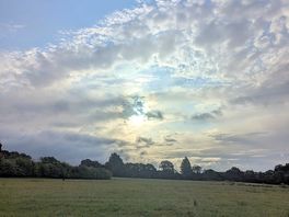 Morning view