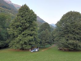 The campsite
