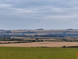 Field view