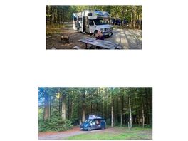Comparative canada to ashbourne