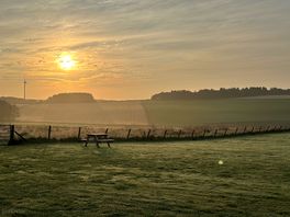 Morning view