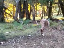 Day out