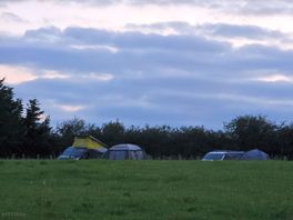 View from bottom of the site