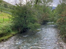 View over bridge into campsite