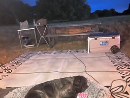 Crashed