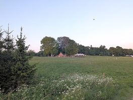The dell