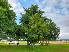 Lovely views and we were able to park nice and close.as site was very quoet when we stayed