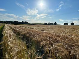 Walk across fields