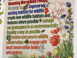 Environmental commitment