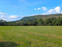 View from my pitch