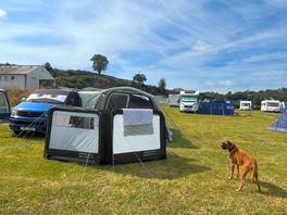 Nice quiet site with excellent toilet/shower facilities.
