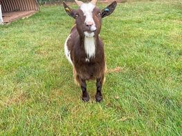 Cute neighbour!