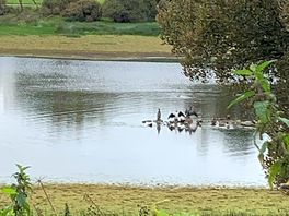 Lake view