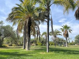 Gartenblick