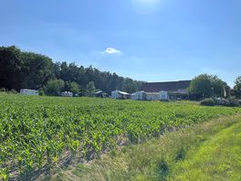 Uitzicht op camperplekken vanaf de