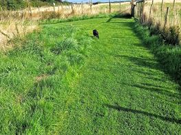 Great dog friendly accomodation.
