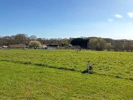 Ridgeway pitch