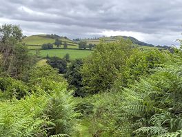 View from the site